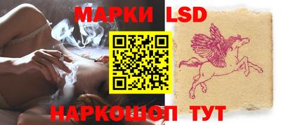 индика Гусев