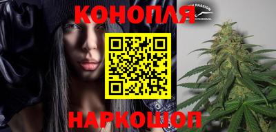 мдпв Гай