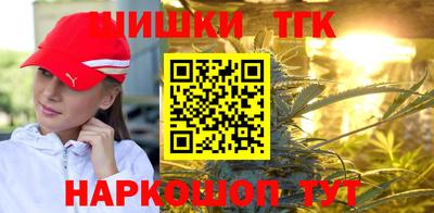 индика Гусев