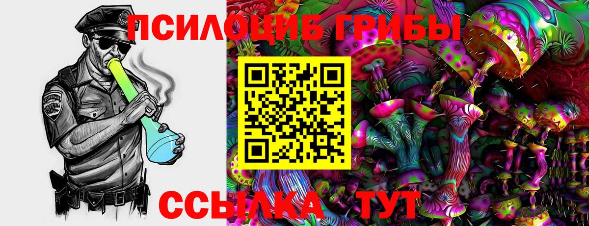 Псилоцибиновые грибы мухоморы  магазин  наркотиков  Камышин  Вход с VPN 