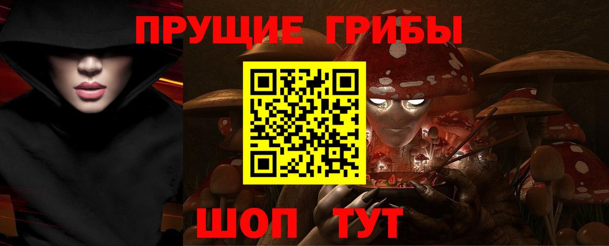 Галлюциногенные грибы Cubensis Камышин