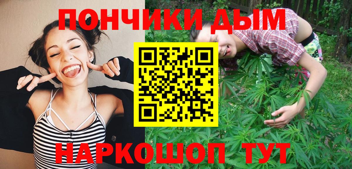 Камышин  Бошки марихуана планчик  Вход с VPN  Бошки Шишки Amnesia 